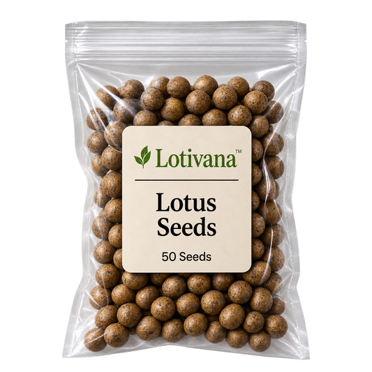 Lotivana™