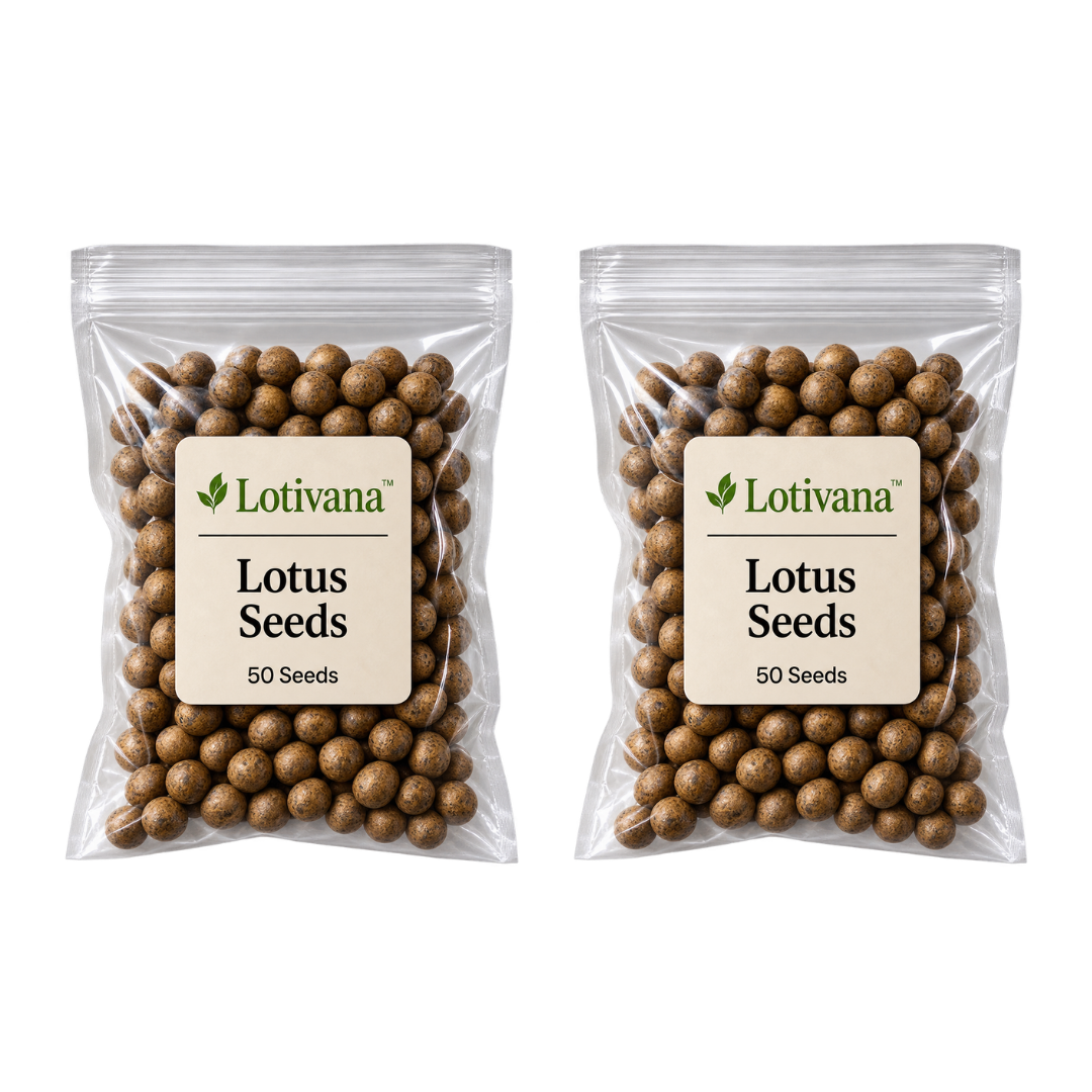 Lotivana™
