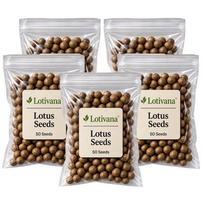 Lotivana™